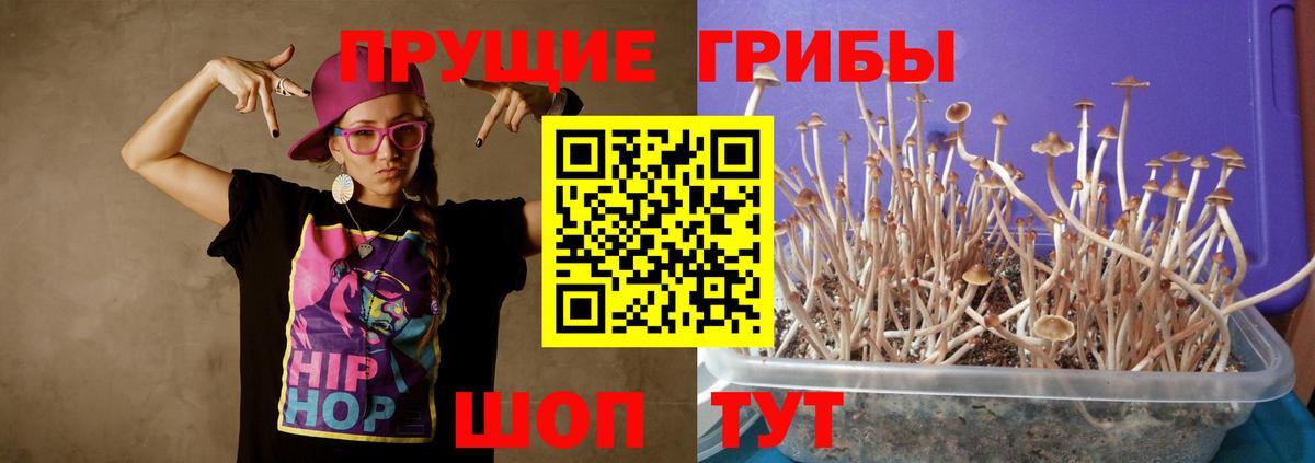 Белорецк  Галлюциногенные грибы ЛСД  Вход с VPN 